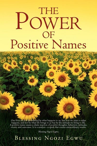 Produktbild: The Power of Positive Names