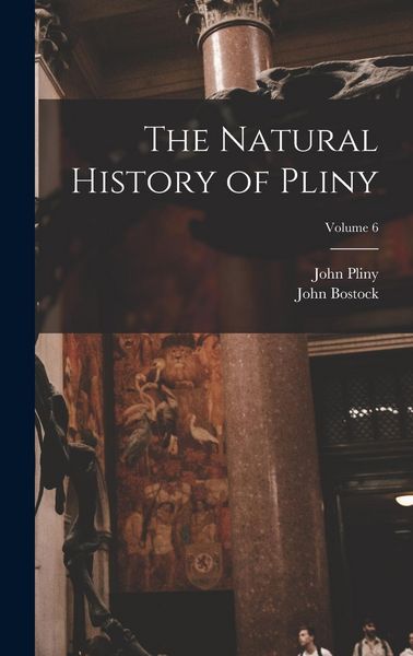Produktbild: The Natural History of Pliny; Volume 6