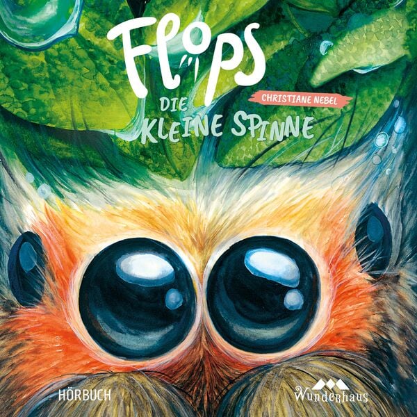 Flops, die kleine Spinne