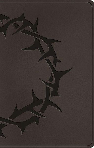 Produktbild: ESV Premium Gift Bible (Trutone, Charcoal, Crown Design)