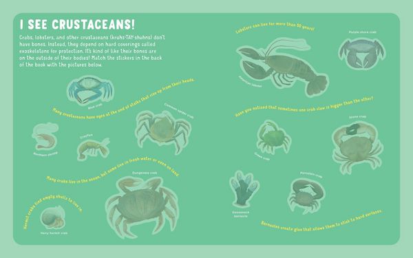 Produktbild: Backpack Explorer Stickers: Ocean Adventure