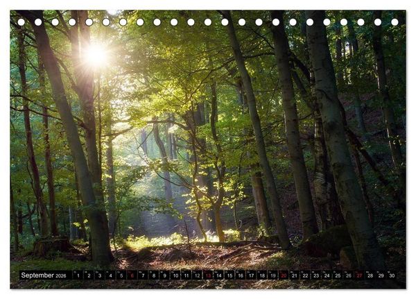Produktbild: Zauberhafter Harz (Tischkalender 2026 DIN A5 quer), CALVENDO Monatskalender