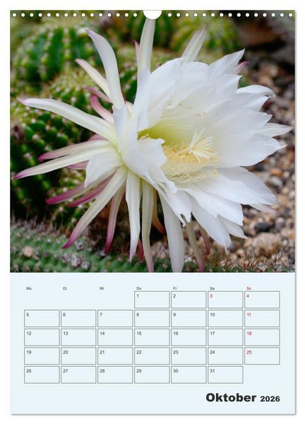 Produktbild: Wehrhafte Sukkulenten (Wandkalender 2026 DIN A3 hoch), CALVENDO Monatskalender