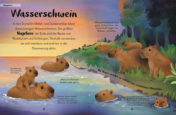 Produktbild: Mein liebstes Buch der Tiere der Nacht