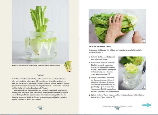 Produktbild: Regrow: Neue Ernte aus Gem&uuml;seresten - Von Avocado bis Zwiebel. Die unkomplizierte Nachzucht aus Samen, Wurzeln, St&auml;ngeln oder Bl&auml;ttern