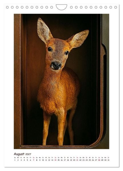 Produktbild: Wer f&auml;hrt denn da? Ein tierisches Paternoster Vergn&uuml;gen (Wandkalender 2027 DIN A4 hoch), CALVENDO Monatskalender