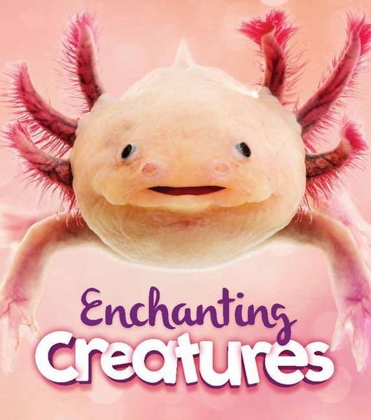 Produktbild: Enchanting Creatures