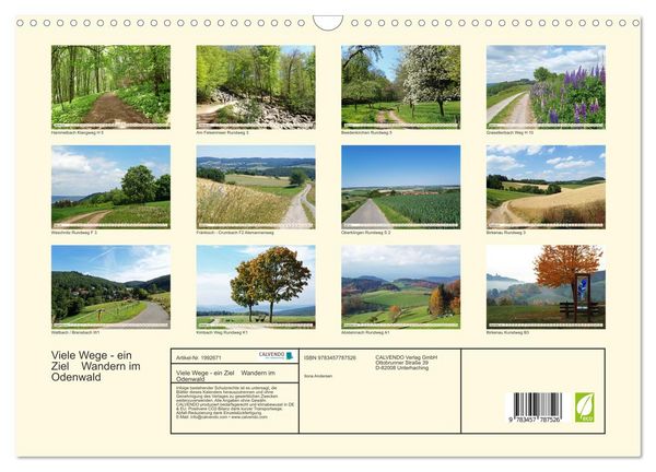 Produktbild: Viele Wege - ein Ziel Wandern im Odenwald (Wandkalender 2026 DIN A3 quer), CALVENDO Monatskalender