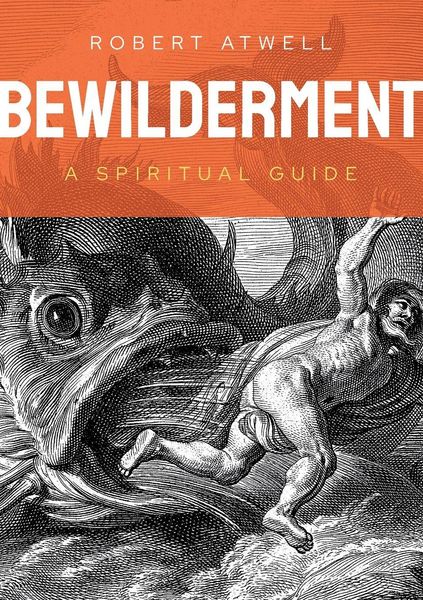 Produktbild: Bewilderment