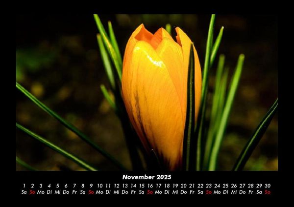 Produktbild: Blumenzauber 2025 Fotokalender DIN A3