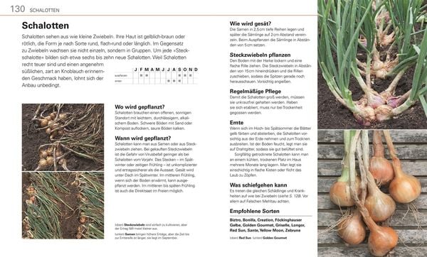 Produktbild: Gem&uuml;se f&uuml;r jeden Garten