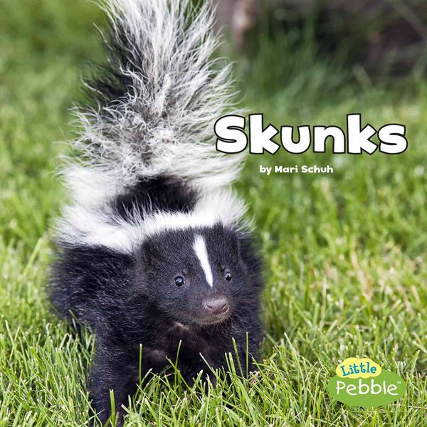 Produktbild: Schuh, M: Skunks
