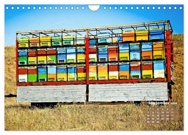 Produktbild: Ein Leben f&uuml;r den Honig - Bienen und Imker (Wandkalender 2026 DIN A4 quer), CALVENDO Monatskalender