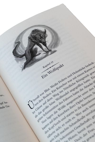 Produktbild: Land of Stories: Das magische Land &ndash; Die Suche nach dem Wunschzauber