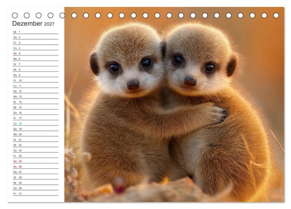 Produktbild: Die Welt der Erdm&auml;nnchen (Tischkalender 2027 DIN A5 quer), CALVENDO Monatskalender