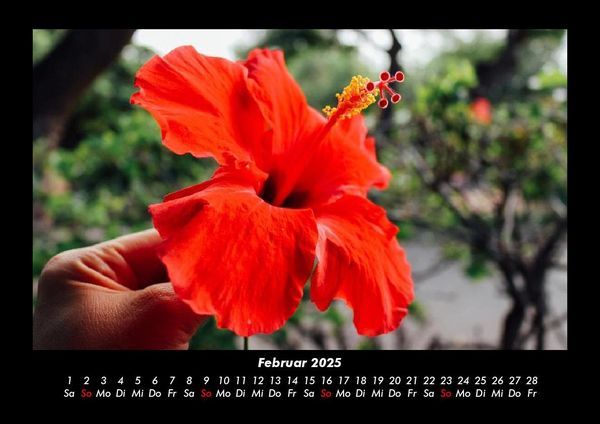 Produktbild: Blumentr&auml;ume 2025 Fotokalender DIN A3