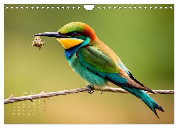 Produktbild: Afrikas vielf&auml;ltige Vogelwelt (Wandkalender 2026 DIN A4 quer), CALVENDO Monatskalender