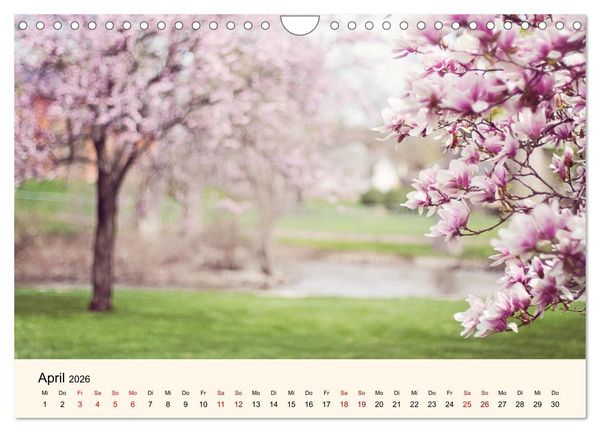 Produktbild: Die Jahreszeiten. Magie des Wandels (Wandkalender 2026 DIN A4 quer), CALVENDO Monatskalender