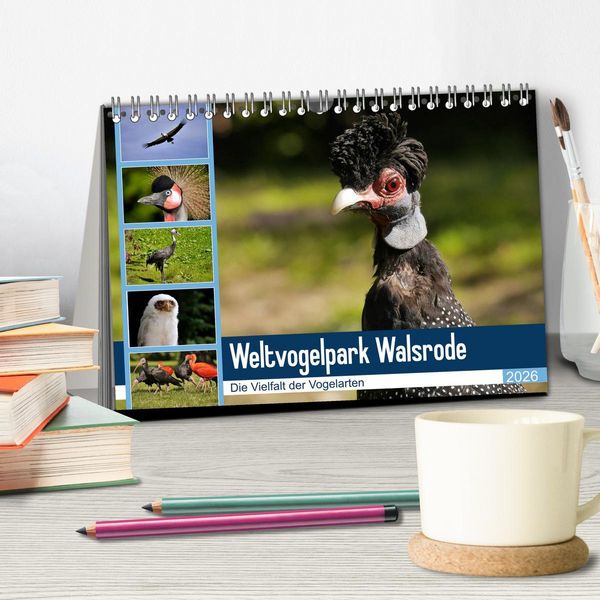 Produktbild: Weltvogelpark Walsrode - Die Vielfalt der Vogelarten (Tischkalender 2026 DIN A5 quer), CALVENDO Monatskalender