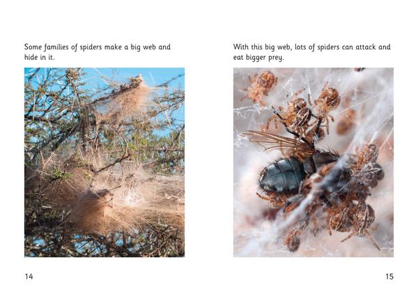 Produktbild: Spider Strike!