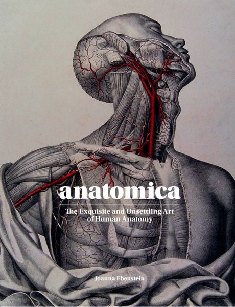 Produktbild: Anatomica