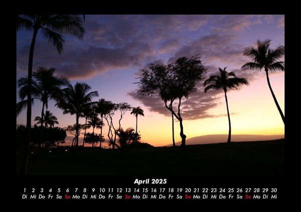 Produktbild: Palmentraum 2025 Fotokalender DIN A3