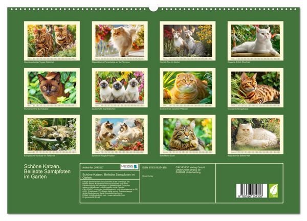Produktbild: Sch&ouml;ne Katzen. Beliebte Samtpfoten im Garten (hochwertiger Premium Wandkalender 2026 DIN A2 quer), Kunstdruck in Hochglanz