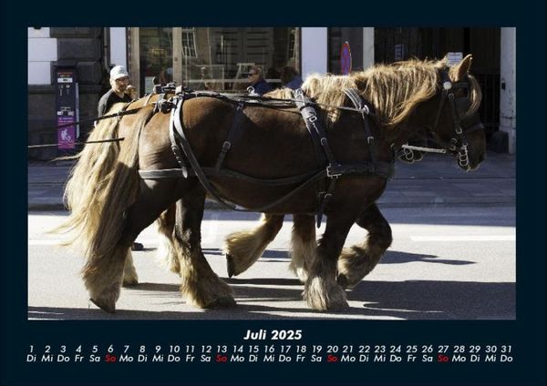 Produktbild: Die Welt der Pferde 2025 Fotokalender DIN A4
