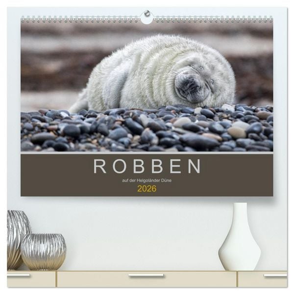 Produktbild: Robben auf der Helgol&auml;nder D&uuml;ne (hochwertiger Premium Wandkalender 2026 DIN A2 quer), Kunstdruck in Hochglanz