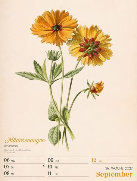 Produktbild: Ars Floralis Wochenplaner Kalender 2027
