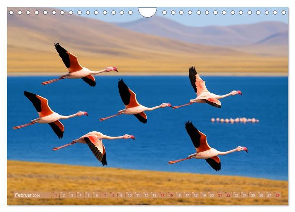 Produktbild: &Uuml;ber dem Vogelflug (Wandkalender 2026 DIN A4 quer), CALVENDO Monatskalender