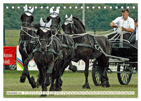 Produktbild: Four-in-hand Driving Challenge (Desk Calendar 2026 DIN A5 landscape), CALVENDO 12 Month DeskCalendar