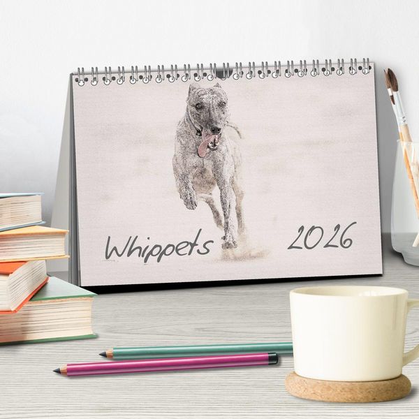 Produktbild: Whippet 2026 (Tischkalender 2026 DIN A5 quer), CALVENDO Monatskalender