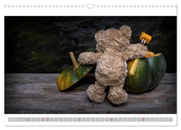 Produktbild: Eddy, der Teddy - 12 Bilder zum Schmunzeln (Wandkalender 2026 DIN A3 quer), CALVENDO Monatskalender