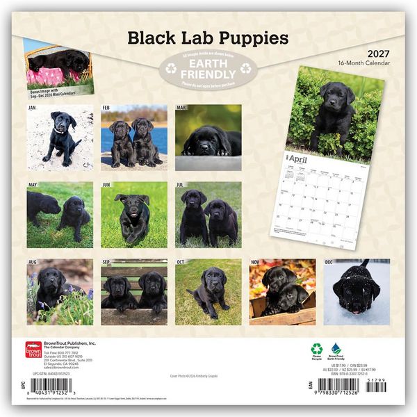 Produktbild: Black Labrador Retriever Puppies &ndash; Schwarze Labrador Retriever Welpen 2027 &ndash; 16-Monatskalender