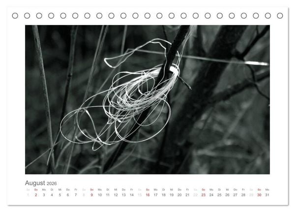 Produktbild: einfach schwarz-wei&szlig; (Tischkalender 2026 DIN A5 quer), CALVENDO Monatskalender
