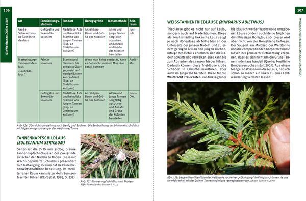 Produktbild: Waldtracht von Fichte und Tanne