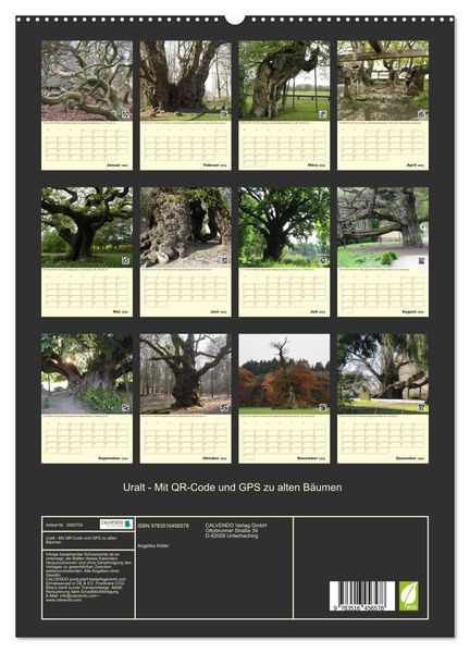 Produktbild: Uralt - Mit QR-Code und GPS zu alten B&auml;umen (hochwertiger Premium Wandkalender 2026 DIN A2 hoch), Kunstdruck in Hochglanz