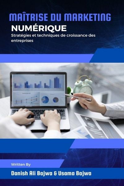Produktbild: Ma&icirc;trise du marketing num&eacute;rique
