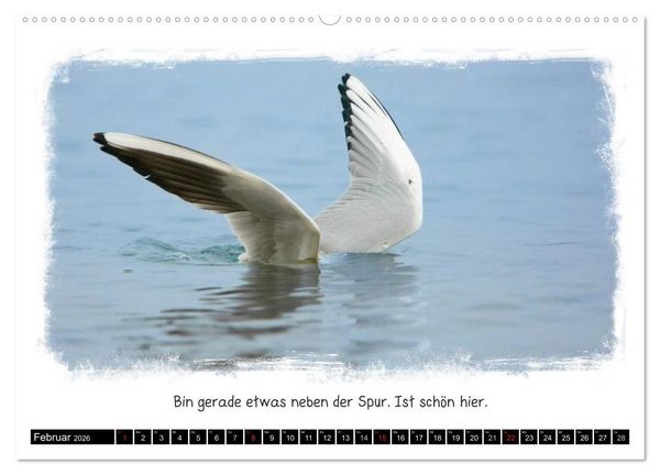 Produktbild: Tierisch witzig (Wandkalender 2026 DIN A2 quer), CALVENDO Monatskalender