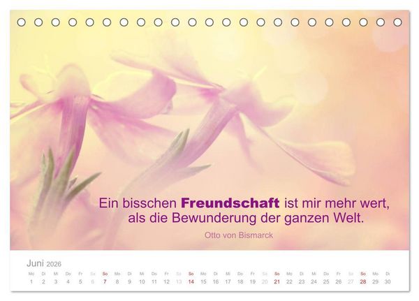 Produktbild: Zauberhafte Spr&uuml;che - Bunte Seelenbl&uuml;ten (Tischkalender 2026 DIN A5 quer), CALVENDO Monatskalender