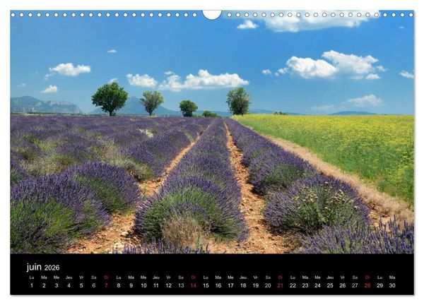 Produktbild: Paysages de Provence (Calendrier mural 2026 DIN A3 vertical), CALVENDO calendrier mensuel