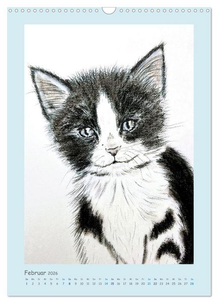 Produktbild: PortraiTierART Samtpf&ouml;tchen (Wandkalender 2026 DIN A3 hoch), CALVENDO Monatskalender
