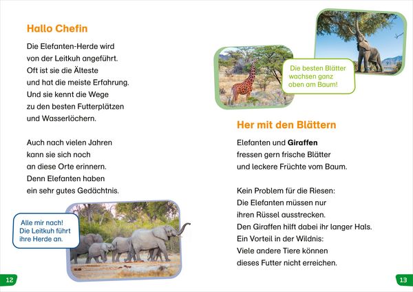 Produktbild: WAS IST WAS Erstes Lesen easy! Tiere in Afrika