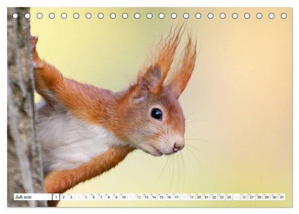 Produktbild: Tiermomente (Tischkalender 2026 DIN A5 quer), CALVENDO Monatskalender