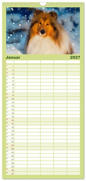 Produktbild: Familienplaner 2027 - Traumhund Collie - Mein bester Freund mit 5 Spalten (Wandkalender, 21 x 45 cm) CALVENDO