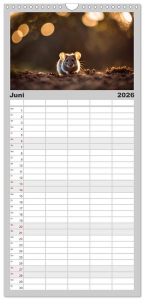 Produktbild: Familienplaner 2026 - Heimische Tiere im Mondlicht mit 5 Spalten (Wandkalender, 21 x 45 cm) CALVENDO