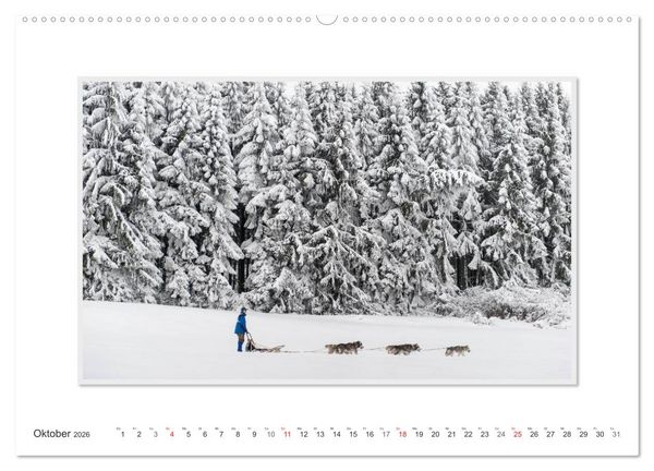 Produktbild: Emotionale Momente: The Art of Huskys. / CH-Version (hochwertiger Premium Wandkalender 2026 DIN A2 quer), Kunstdruck in Hochglanz