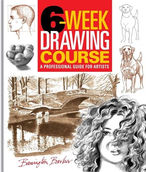 Produktbild: 6-Week Drawing Course