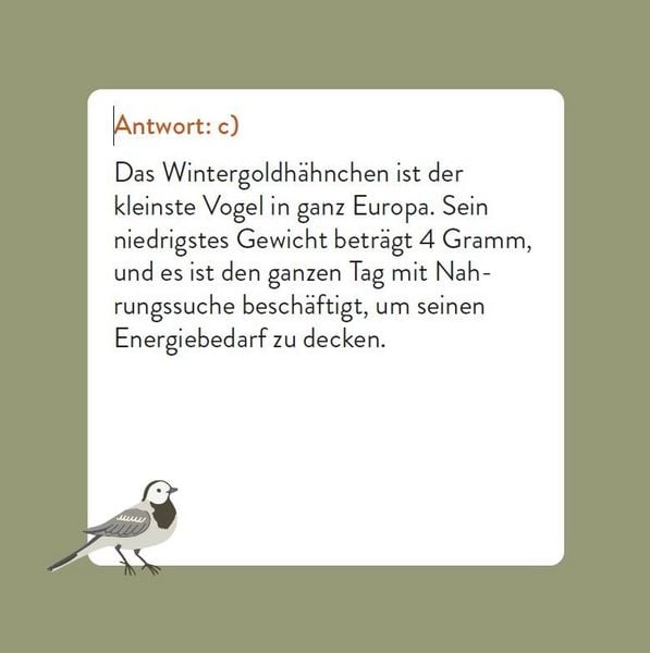 Das Vogel-Quiz